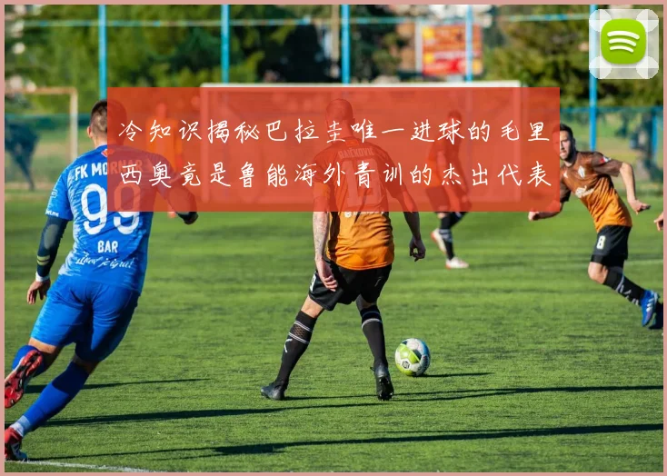 冷知识揭秘巴拉圭唯一进球的毛里西奥竟是鲁能海外青训的杰出代表